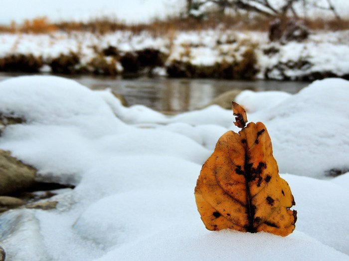 Fish Creek Park, Calgary, Alberta