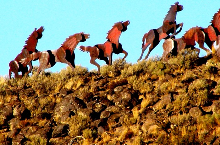 Horse sculptures along our route to Seattle, Washington.