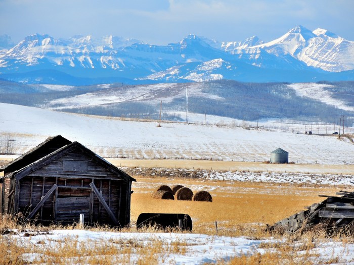 Driving along an Alberta dirt road...