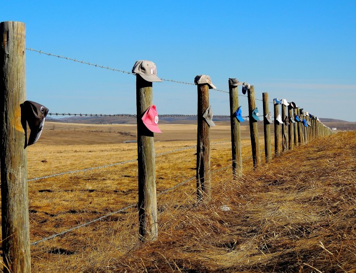 Along Highway 22, also known as The Cowboy Trail