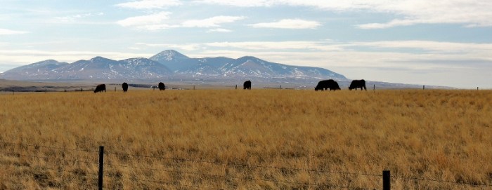 A stones-throw from The Sweet Grass Hill in the State of Montana
