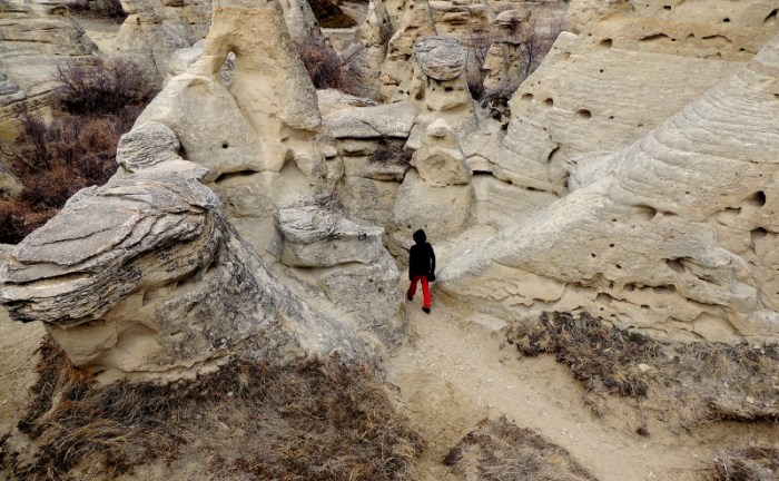Walking amongst the Hoodoo's