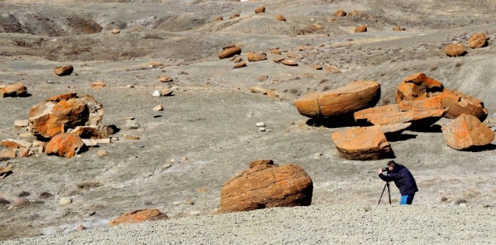 Enjoying the landscape