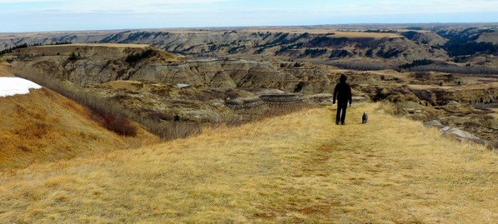 Dry Island Buffalo Jump Provincial Park
