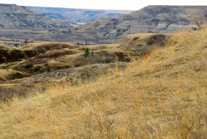 Our little Grand Canyon...