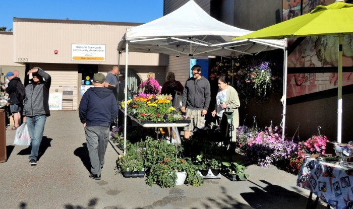 and plants to be sold...