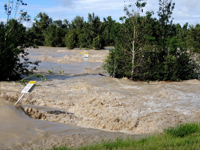 Another view of the dog park