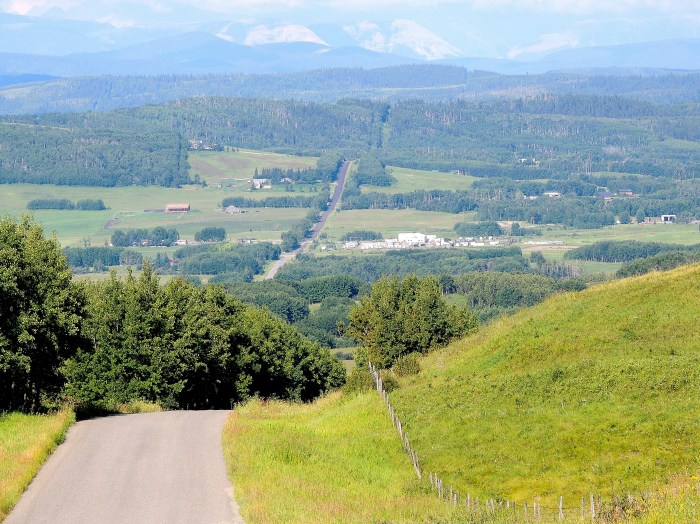 Driving along the back roads, near Millarville...