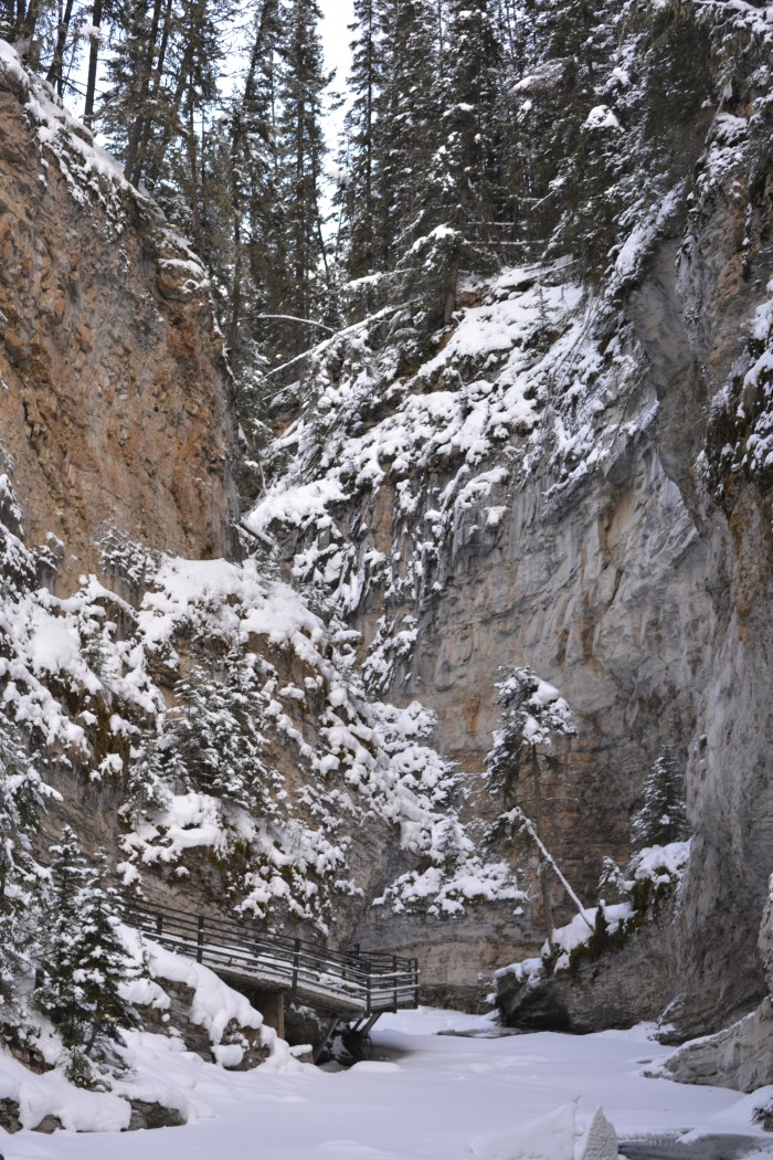 Johnston Canyon