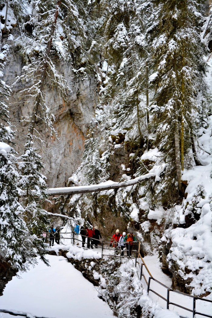 Johnston Canyon
