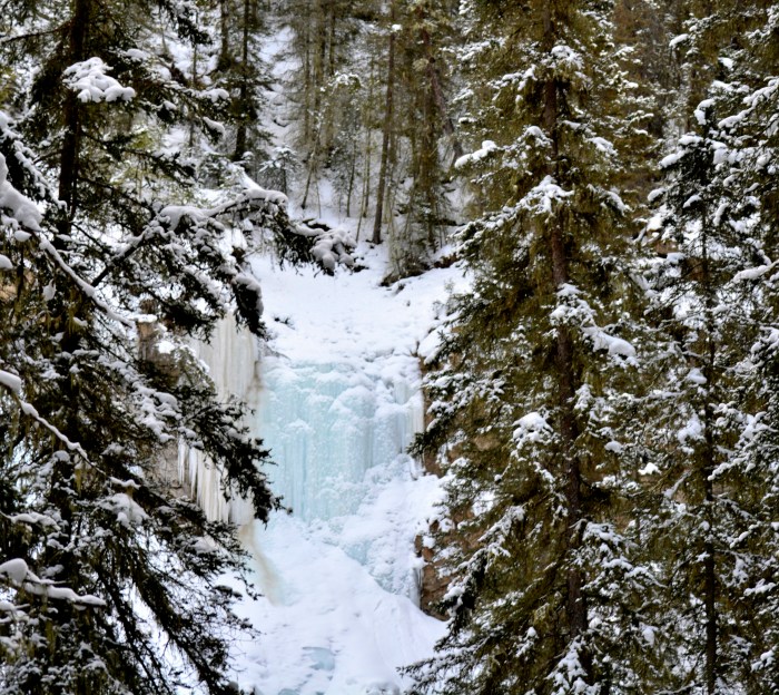 Johnston Canyon