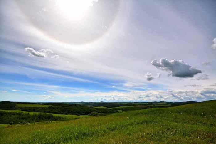 The Ann and Sandy Cross Conservation Area, just south of Calgary along Highway 22X