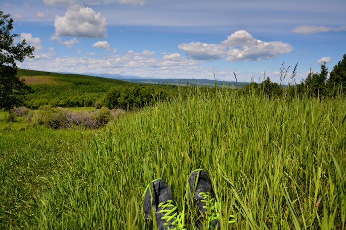 Beautiful view of the mountains